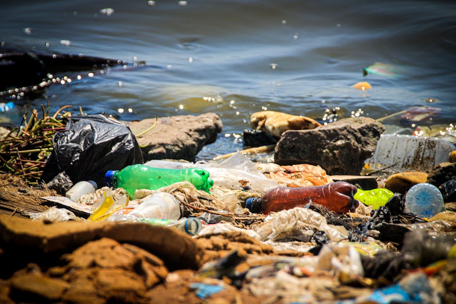A man wearing a black cap, red t-shirt, and light blue denim shorts is standing on a sandy beach, holding a large white plastic bag filled with rubbish, suggesting involvement in a beach clean-up or w